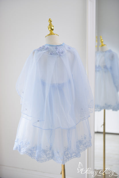 Full back view of embroidered blue tulle dress with cape overlay tied at the neck.